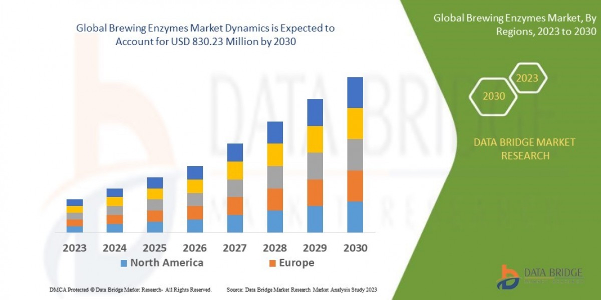 Craft Brewing Surge Energizes Global Brewing Enzymes Market