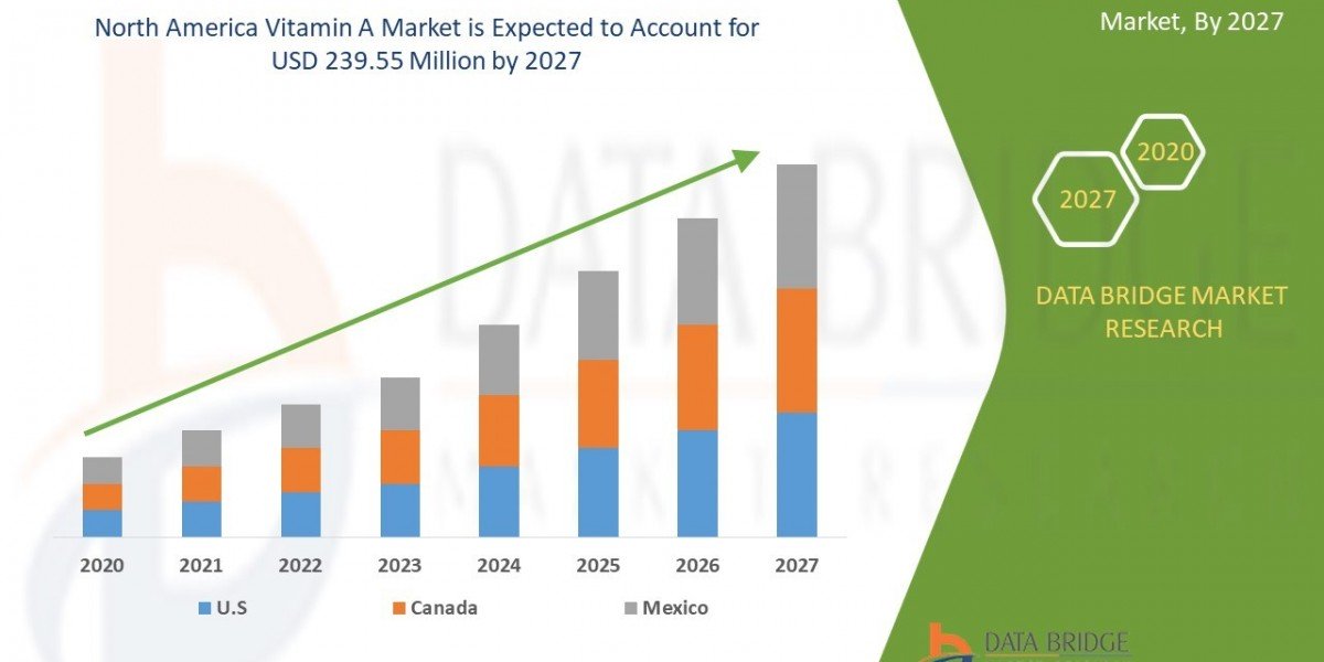 North America Vitamin A Market: Trends, Analysis, and Competitive Landscape 2024 –2031