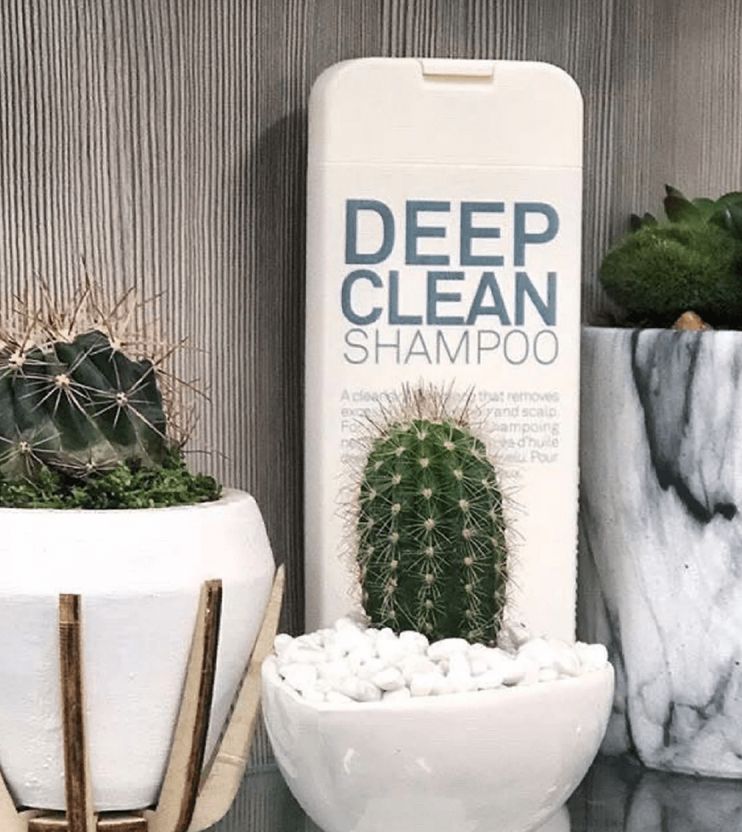ELEVEN Australia: Hair Care Products with Professional-Grade Results – Into The Wild