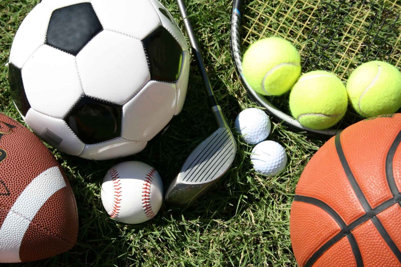 Sports Free Download PC Full Version [2025]