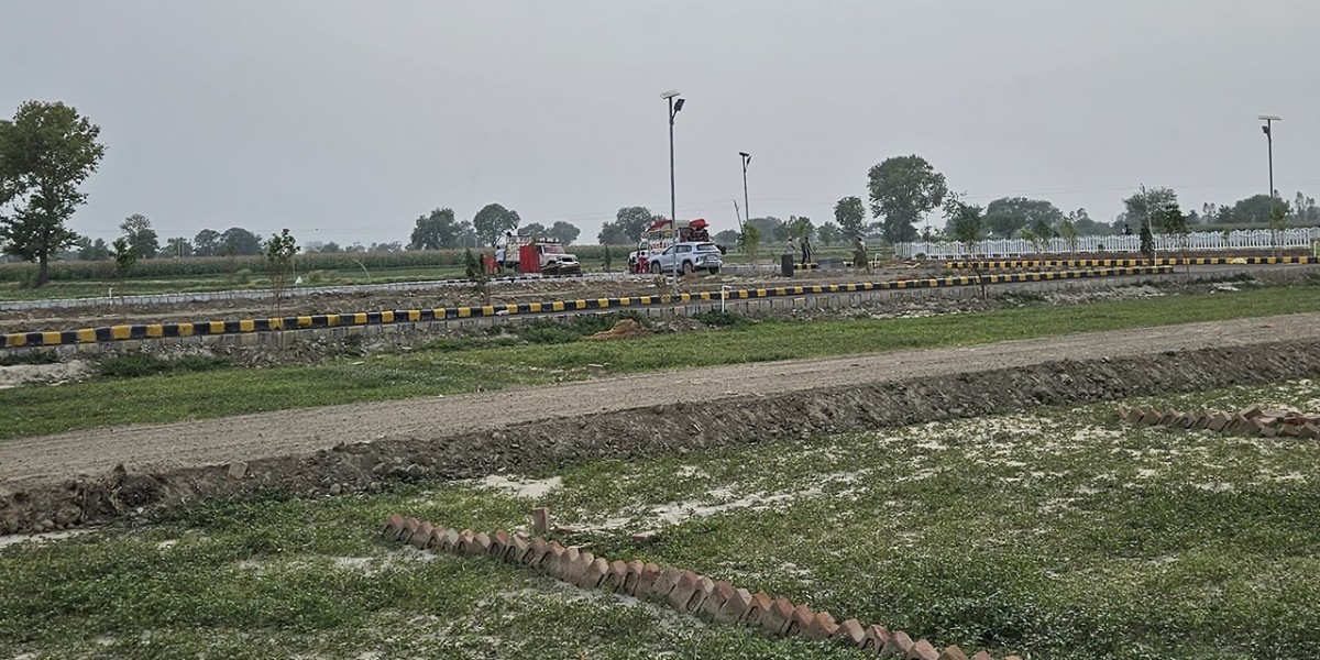 Article Picture