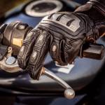 Shop Gloves Profile Picture