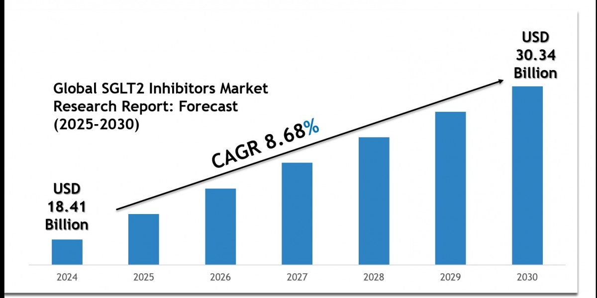 SGLT2 Inhibitors Market 2030: Key Companies, Player Strategies & Forecast