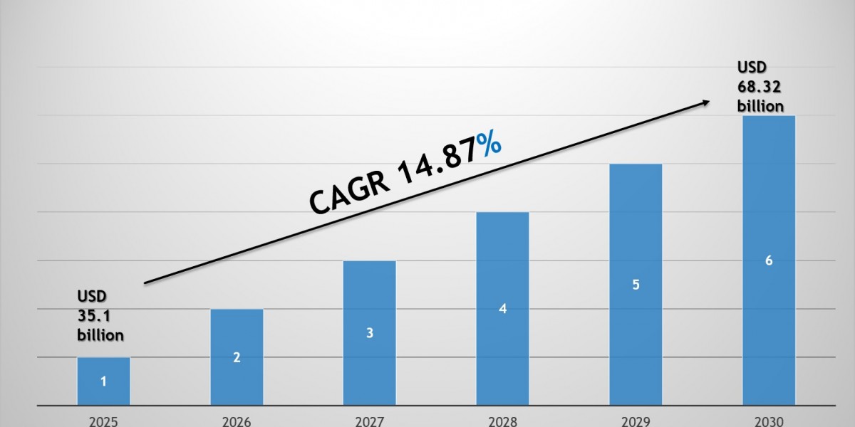 India Second Hand Car Market Share, Size & Competitive Landscape Report 2030