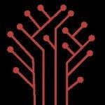 DigitalMonk Profile Picture
