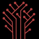 DigitalMonk Profile Picture