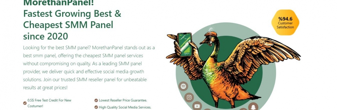 MoreThanPanel Official Cover Image