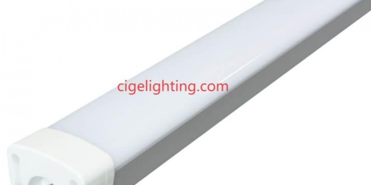 Trusted Extreme Environment Solutions: Cige Waterproof Fixture Manufacturer