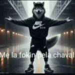 elquenohace Profile Picture